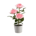thumbnail image 2 of EGNMCR 3 Led Rose Lantern Solar 3 Heads Rose LED Potted Table Lamp Night Light Solar lantern, 2 of 3