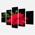 thumbnail image 2 of Bright Red Hibiscus on Black - Large Floral Canvas Art Print, 2 of 3