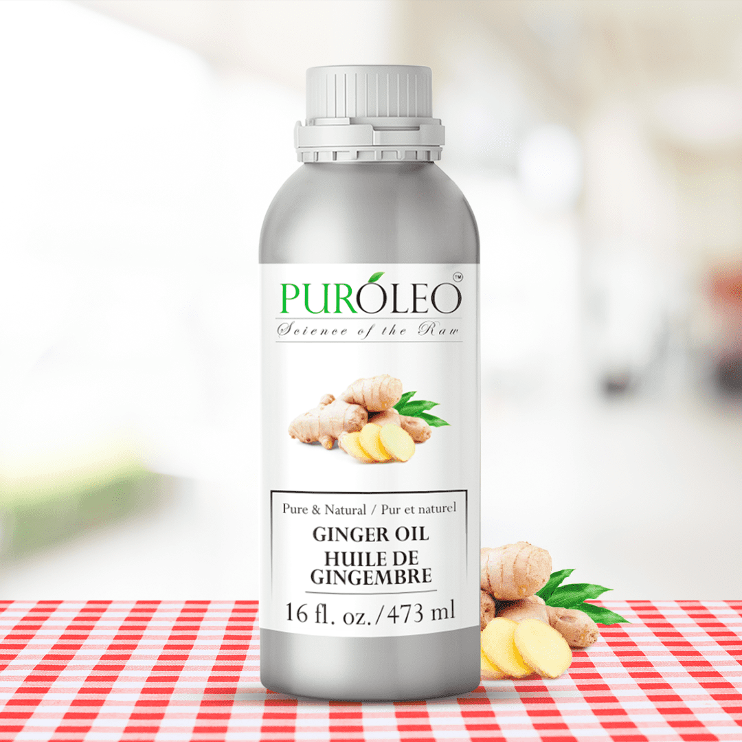 PUROLEO Ginger Essential Oil 16 Fl Oz/473 ML (Packed In Canada) 100% Pure, Natural and Authentic Aromatherapy Oil for Diffuser, Massage and DIY Blends - Soothes, Calms and Energizes