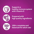 thumbnail image 2 of WHISKAS FAVOURITES Morsels in Gelled Gravy Salmon Flavour Pouch Adult Wet Cat Food, 85g, 2 of 5