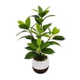 thumbnail image 1 of Lerman Decor's plant in cement pot, 1 of 4
