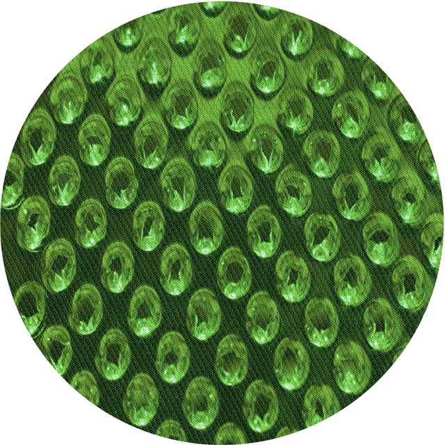 Ahgly Tapis d'Intérieur Lavable en Machine Carré Vert Émeraude Profond, 3 Pieds Carré