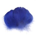 thumbnail image 4 of 100 Pcs Plumes Colorées 6-12 cm en Petite Plume Décoration DIY, 4 of 9