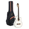 thumbnail image 1 of Family Series Pro Solid Top Thinline Acoustic-Electric Nylon Classical Guitar with Bag, 1 of 4