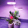 thumbnail image 3 of Petite Lampe pour Plantes d'Intérieur à Spectre Complet, Lampe LED pour Plantes, Mini Lampe de Bureau pour Plantes, Hauteur Réglable, Lampe pour Plantes avec Éclairage IPL et Lumière du Soleil sur Support de Lampe Simple et Double, 3 of 8