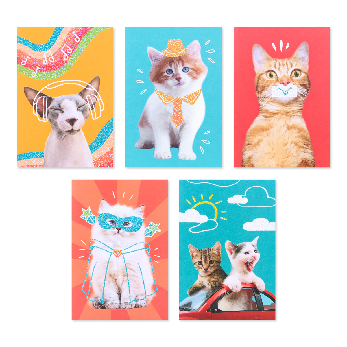 American Greetings - Assortiment en boîte de 15 cartes sans texte et enveloppes, Chats rigolos