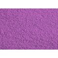 thumbnail image 1 of Ahgly Tapis Rectangulaire Lavable en Machine Intérieur Transitionnel Orchidée Foncée Violet, 3 Pieds x 5 Pieds, 1 of 7