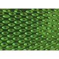 thumbnail image 1 of Ahgly Tapis Rectangulaire Lavable en Machine Intérieur Vert Émeraude Profond, 2 Pieds x 5 Pieds, 1 of 7