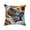 C, variant on Fasiaou Cat Pattern Throw Pillow Covers Decorative Outdoor Soft Pillowcases Home Decor Living Room Cushion Case for Bed Couch Car 18x18 Inch,B