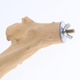 thumbnail image 3 of Natural Wood Pet Parrot Stand Toy Parrots Unique Shape Perches for Bird Cage 2.5x30cm, 3 of 8