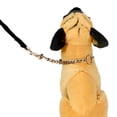 thumbnail image 3 of Double Head Pet Pulling Rope Dog Puppy Stainless Iron Chain Strap Pet Supplies, 3 of 5