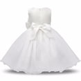 thumbnail image 2 of AAMILIFE Robe Fleur Princesse Fille Tutu Mariage Anniversaire Fête Robe Enfant Costume Enfants, 2 of 3