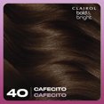 thumbnail image 3 of Clairol Bold & Bright Permanent Hair Dye, 3 of 9