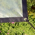 thumbnail image 4 of AMERTEER 1 Paquet Bâche Transparente Imperméable pour Serre Bâche Transparente Imperméable Résistance au Gel Chaud Protection des Plantes Housse, 4 of 10