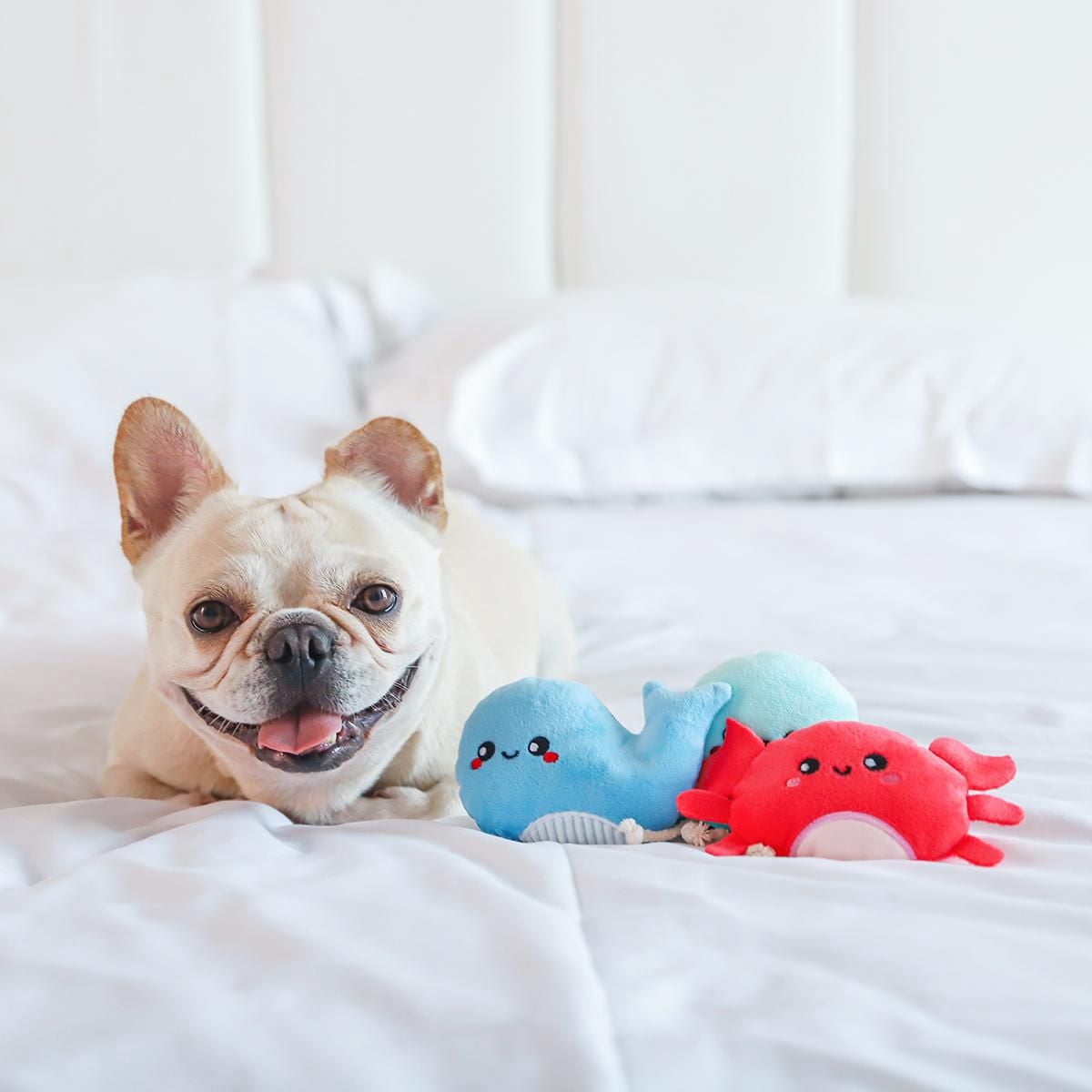 Hugsmart Créatures marines Peluche pour chien