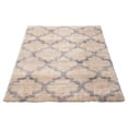 thumbnail image 4 of ECARPET Trellis Frieze Area Rug Fluffy Carpet for Bedroom, Ultra Soft & Plush Annica Collection, 4 of 9
