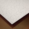 thumbnail image 3 of Genesis 2ft x 4ft Printed Pro Ceiling Tiles, Waterproof, Washable, Fire-Rated PVC, Pack of 10, 3 of 6