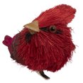 thumbnail image 4 of Northlight Cardinal Ornements d'Oiseaux de Noël en Sisal à Clipser - 3.5 Pouces - Rouge - Ensemble de 4, 4 of 6