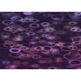 thumbnail image 1 of Ahgly Company Machine Washable Indoor Rectangle Transitional Deep Purple Area Rugs, 2' x 3', 1 of 7