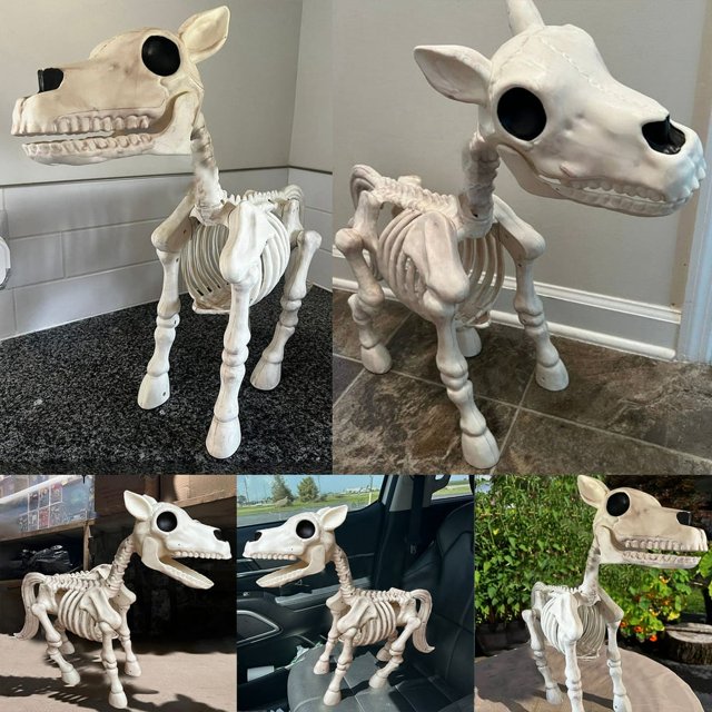 Halloween Skeleton Dog Prop Animal Bones Party Shop Decoration Horror
