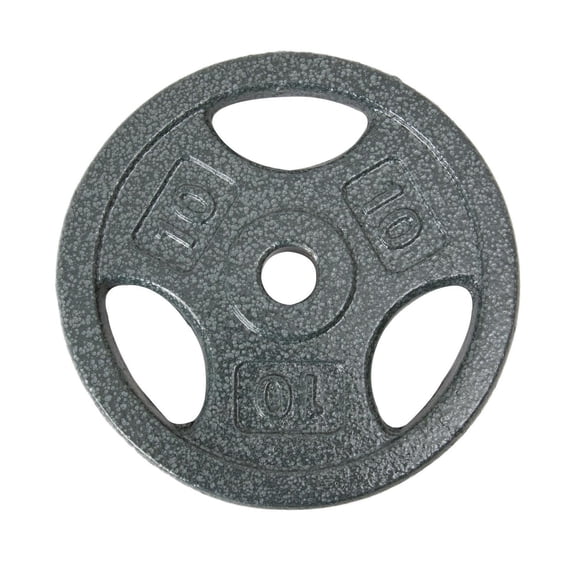 Disque de musculation avec prises GoZone – Argent