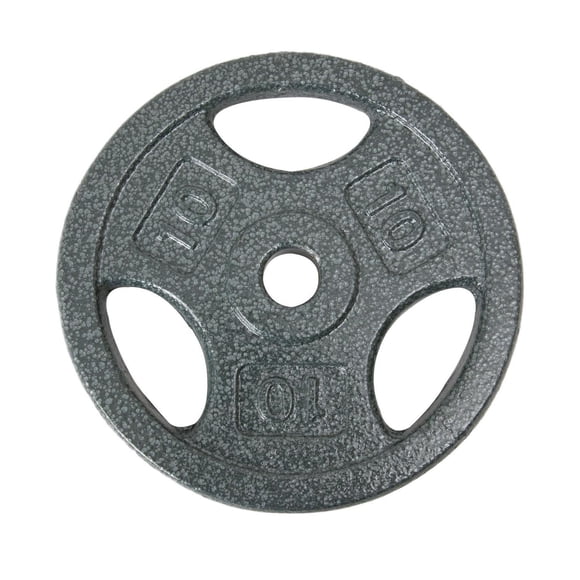 Disque de musculation avec prises GoZone – Argent