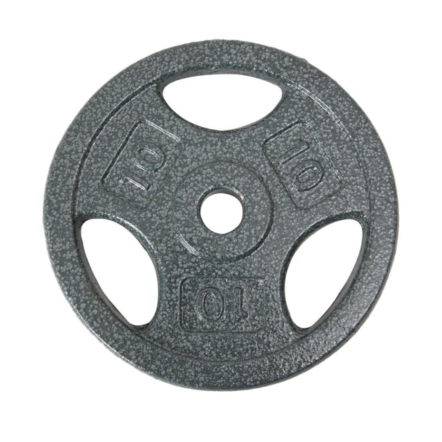 GoZone Disque de Poids à Prise – Argent, Disque de Poids Rond en Argent avec Fini Semi-Lustré Antirouille, Trois Poignées Ergonomiques Découpées et Marquages « 10 » en Relief, compatible avec les Haltères standard de 1 Po, Convient à l'Entraînement de Force Polyvalent et aux Entraînements à Domicile.