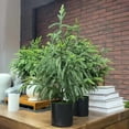 thumbnail image 4 of sdhkgrrt under $5 Artificial Christmas Tree, Christmas Norfolk Pines Needle Christmas Tree,Artificial Potted Christmas Tree,Simulation Green Plant Bonsai,Living Room Holiday Decor,Fake Christmas Tree, 4 of 9