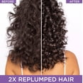 thumbnail image 2 of L'Oreal Paris Hair Expertise, 2 of 8