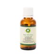 thumbnail image 1 of Aloe Vera Oil Aloe Barbadensis Pure Aloe Vera Oil For Hair Growth For Massage For Body For Skin Pure Natural Cold Pressed 100ml 3.38oz By R V Essential, 1 of 2