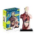 thumbnail image 1 of HAOAN Kids Anatomy Toys Human Body Model  Assembled Human Torso Organ Model for Kids Children Learning Science Anatomy  Ages 6+ (Multi-Type), 1 of 19