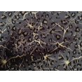 thumbnail image 4 of oneOone Cotton Poplin Fabric Leopard Animal Skin Print Fabric by The Yard 56 Inch Wide, 4 of 4
