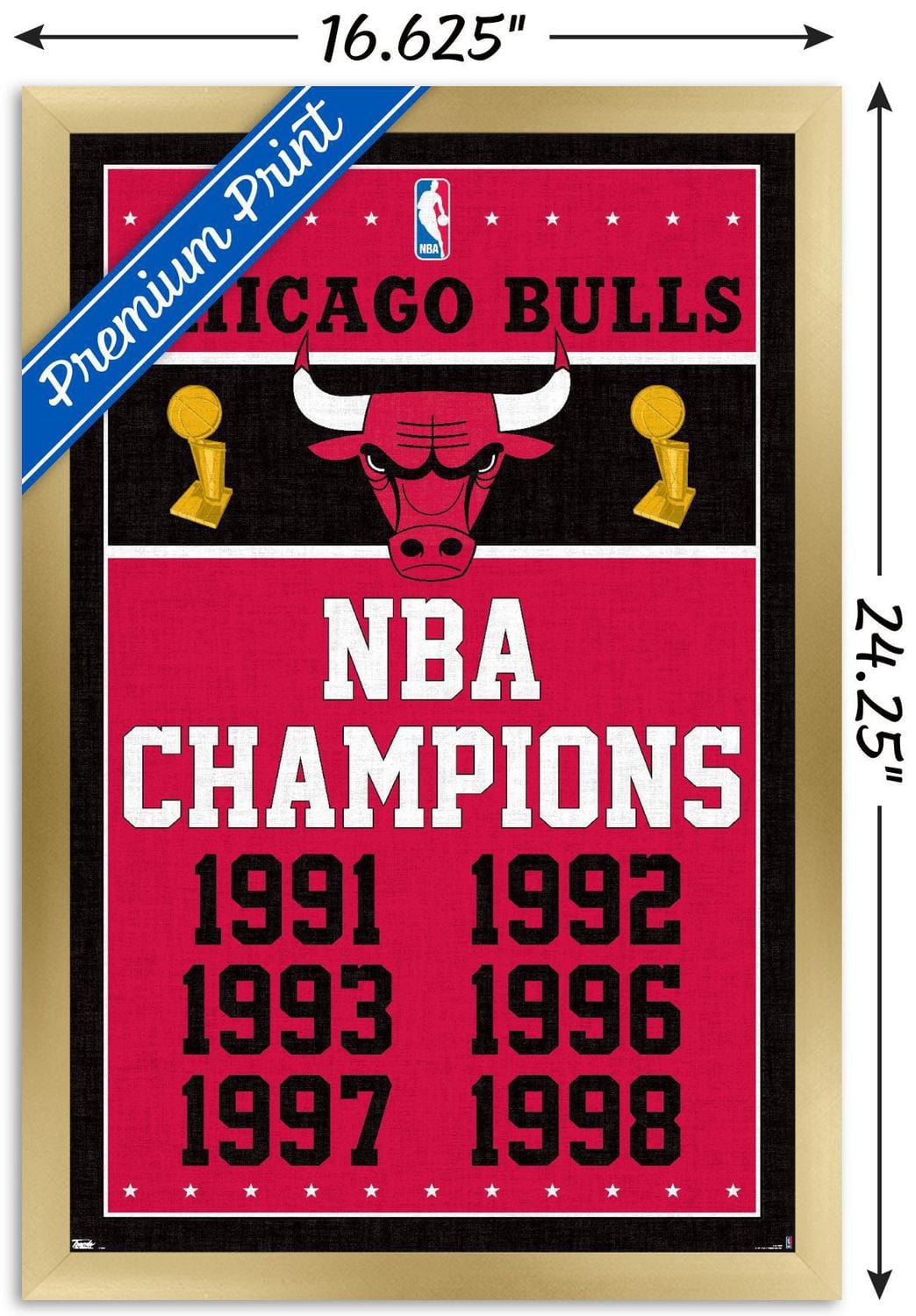 NBA Chicago Bulls - Champions 13 Wall Poster, 14.725" x 22.375" Framed