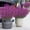 Purple 9G6, variant on Rvkxad Outdoor Artificial Plants, 10 Pcs Hanging Greenery for Garden Porch Decor, Plastic Hanging Plants
