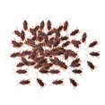 thumbnail image 4 of 100Pcs Fake Roaches Roach Party Favors, Funny Tricky Toys, Simulation Artificial S, 4 of 9