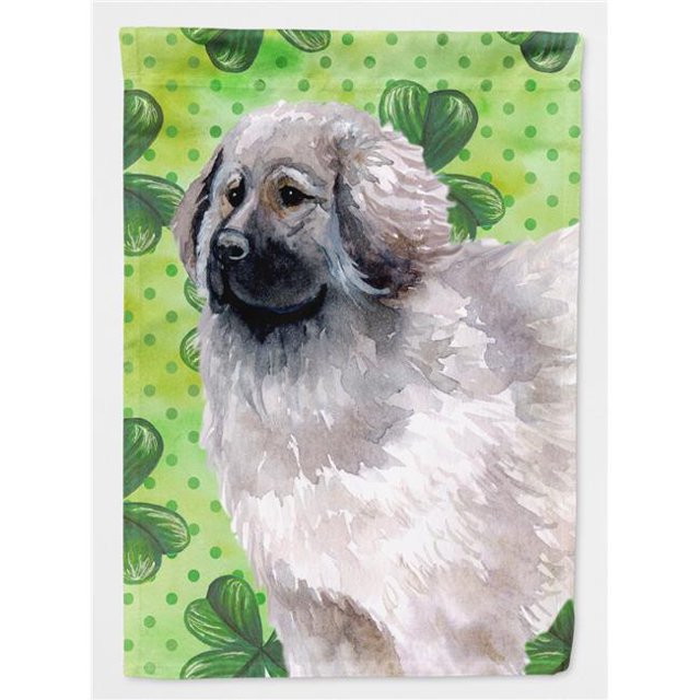 Carolines Treasures BB9847GF Drapeau Moscou St.Patricks - Taille Jardin