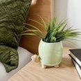 thumbnail image 1 of Linen Chest Green Turtle Planter, 1 of 5