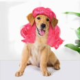 thumbnail image 2 of Pet Wig Photography Prop - Dacron, Funny Design, Comfortable, for Cats Dogs Photo Shoots, 2 of 5