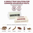 thumbnail image 2 of Catchcore PRO Mouse & Insect Glue Traps 12-Pack, Non-Toxic Pest & Cockroach Traps for Indoor Mouse, Silverfish & Crawling Insect Control, Pesticide-Free Home & Commercial Use, 2 of 8