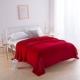 thumbnail image 2 of Home Kitchen Bathroom Textile Deals!Pcksrro Soft Microfiber Flannel Blankets For Couch Bed Sofa Warm For All Seasons, 2 of 5