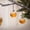 B, variant on 1 Pack Booze Filled Christmas Tree Ornaments Water Bottle Clear 50ml Decorative Reusable
