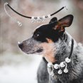 thumbnail image 2 of Pet Bell Necklace Pet Bell Collars Dog Necklace Cat Necklace Pet Collars Quality Pet Adjustable Cute Necklace Collars With Bell For Most Of Dog Cat Supply, 2 of 8