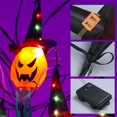 View all media