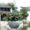 thumbnail image 2 of ZheElen 2piece Stylish And Practical Hanging Flower Pots For Indoor And Outdoor coffee 1Set, 2 of 6