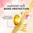 thumbnail image 2 of Pantene Nutrient Blends Miracle Moisture Boost Rose Water Sulfate Free Shampoo, 2 of 8