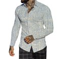 thumbnail image 4 of Hommes Automne Hiver Revers à Poitrine Pleine Impression Plage Chemise à Manches Longues, 4 of 6