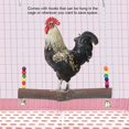 thumbnail image 4 of Chicken Swing, Non- With Hooks Handmade Cage Hanging Toy, For Bedroom Home Chicken Swing, 4 of 8