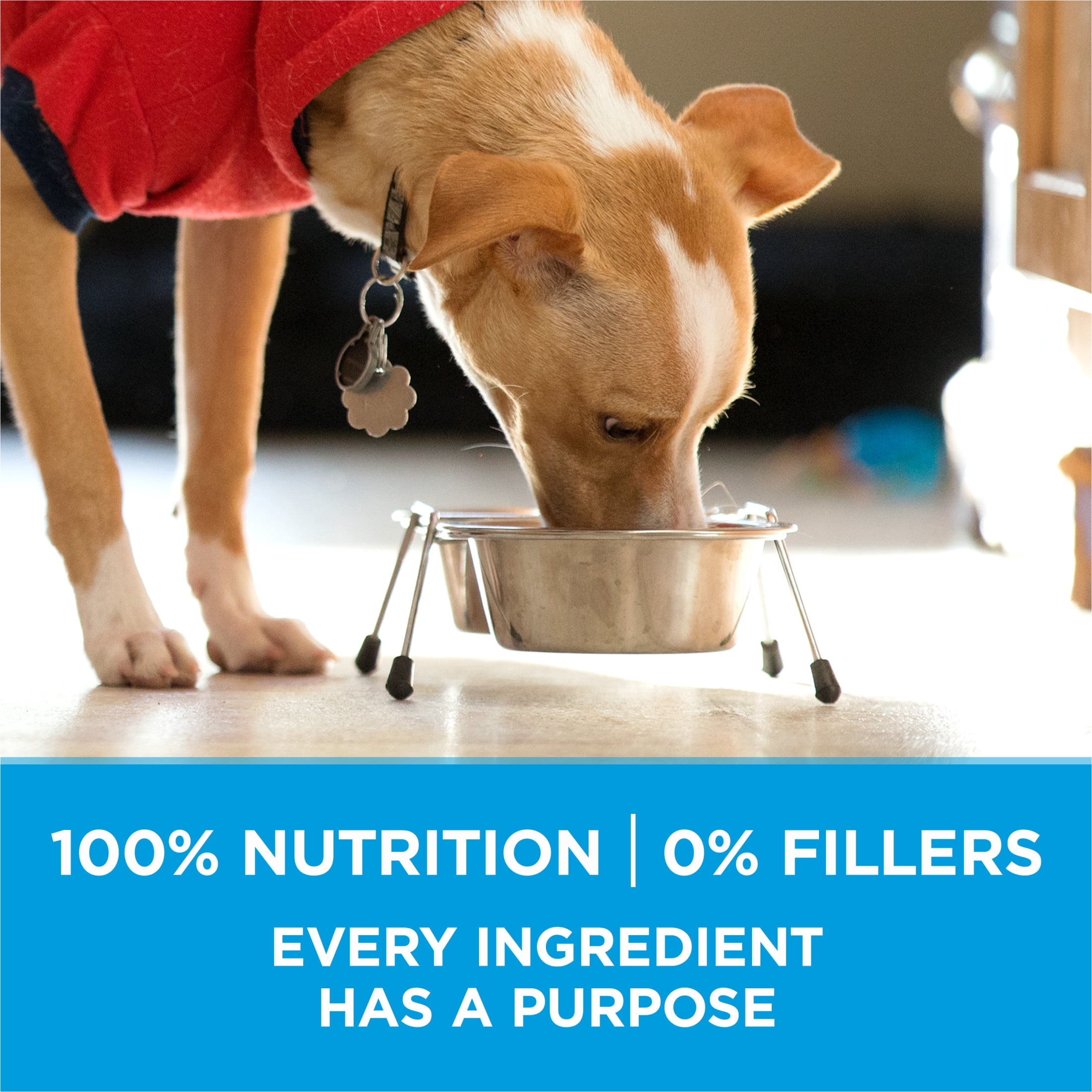 Purina ONE SmartBlend Formule pour Petites Races Boeuf, Nourriture Sèche pour Chiens 1.81kg