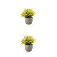 thumbnail image 3 of Decodeary Green Eco-friendly Artificial Money Tree In Pot Long-lasting Durability Realistic Appearance orange rose 2Set, 3 of 6