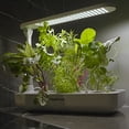 thumbnail image 4 of Vegehome Jardin Indoor Garden with Starter Kit, 4 of 6